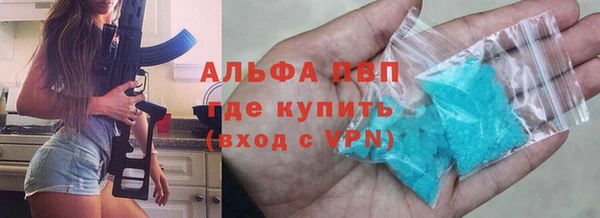 крисы Алзамай
