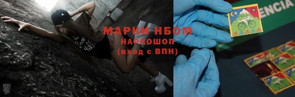 шишки Осинники