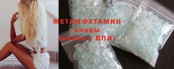 шишки Осинники
