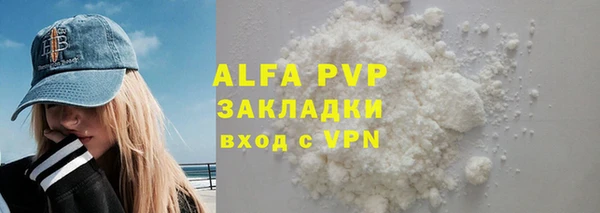 шишки Осинники