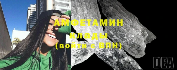 шишки Осинники