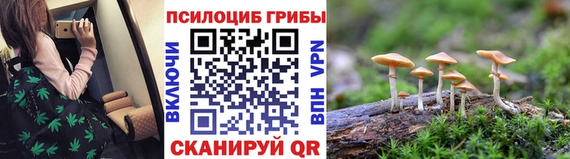 Псилоцибиновые грибы мицелий  даркнет клад  Солнечногорск 